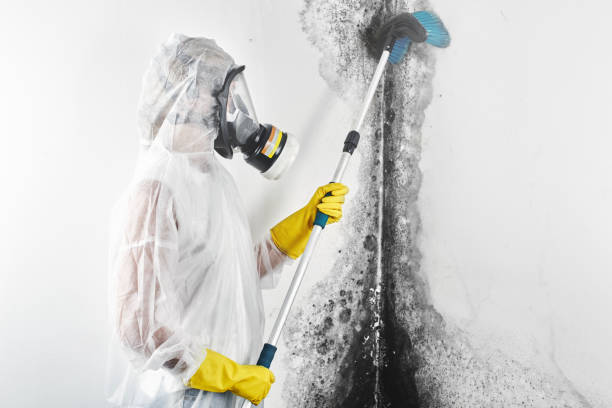 Best Industrial Mold Remediation  in Pioneer Village, KY