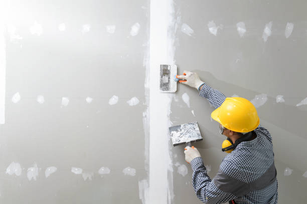 Best Black Mold Removal  in Pioneer Village, KY