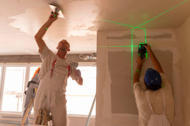 Professional Mold Removal in Pioneer Village, KY